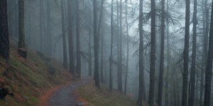 How to Overcome Spiritual Dryness: Spiritual Renewal in the Wilderness