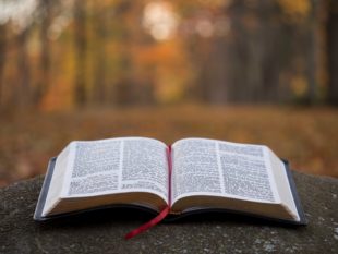 What's in the Bible? Forgiveness and Its Relevancy to You