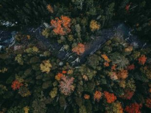 5 Tips for Coping with Anxiety and Depression: Christian Counseling in Puyallup