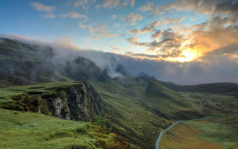 header-image