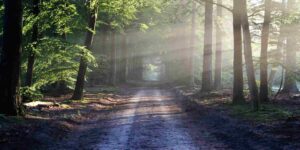 Healing the Heart: Affair Recovery 1