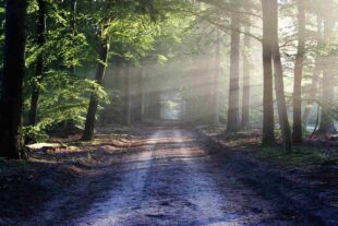 Healing the Heart: Affair Recovery