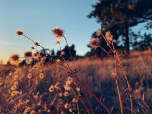 How the World Sees Your ADHD (and What God Says) 1