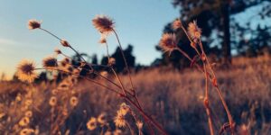 How the World Sees Your ADHD (and What God Says) 2