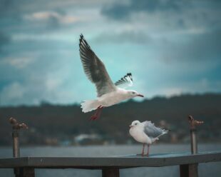 Negative Body Image: What It Is and Steps Toward Healing 3