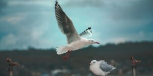 Negative Body Image: What It Is and Steps Toward Healing 4
