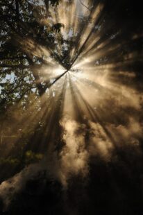 Bible Verses About Hope in Hard Times: Lessons from Hagar 1
