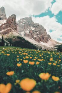 Death Anxiety: Why Am I So Scared Of Dying? 4