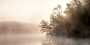 How Your Attachment Style Influences Your Relationships 1