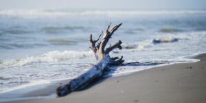 What is the Source of Worry? Does Constant Worrying Mean Something is Wrong? 3