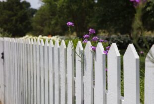 What are the Different Types of Boundaries and How Do I Implement Them? 1